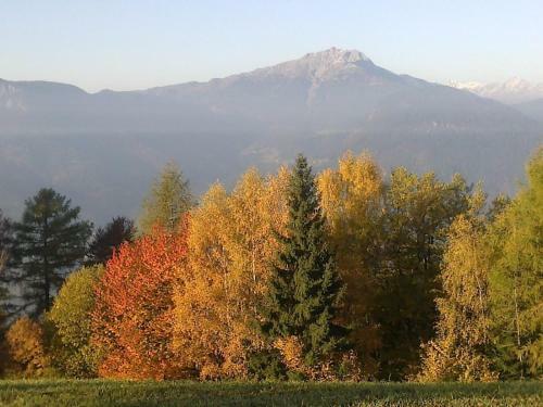 Hotel Garni Reider
