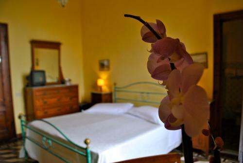 Hotel Albergo Miramare