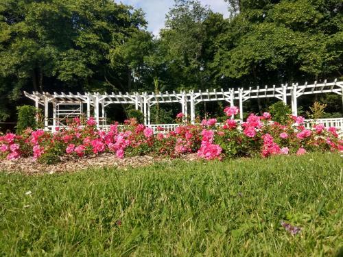 Camping De Vittel