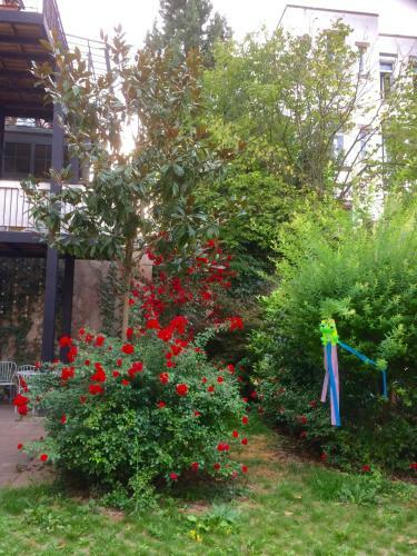 Apartamento Villa Schiller, 2 Studios C�t� Jardin - Quartier Orangerie