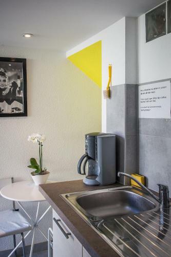 Apartamento Villa Schiller, 2 Studios C�t� Jardin - Quartier Orangerie