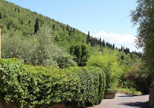 Bed & Breakfast Ulivo Rosso