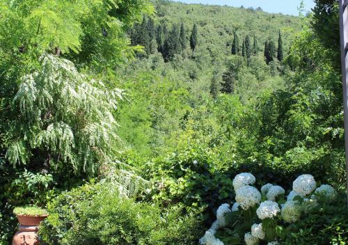 Bed & Breakfast Ulivo Rosso