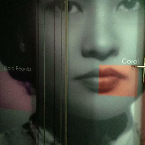 Bed & Breakfast Vietnamonamour