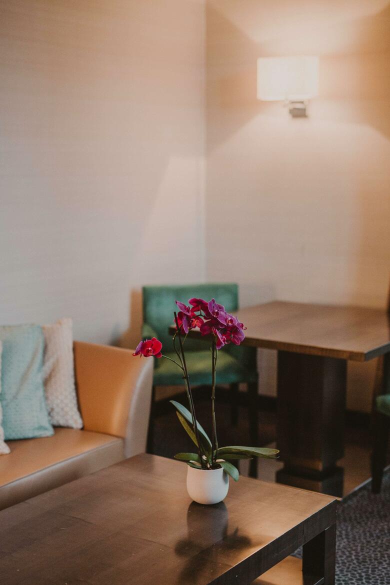 Hotel Swiss�tel Geneva M�tropole