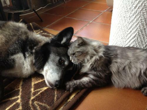 Bed & Breakfast La Villa C�t� Mer