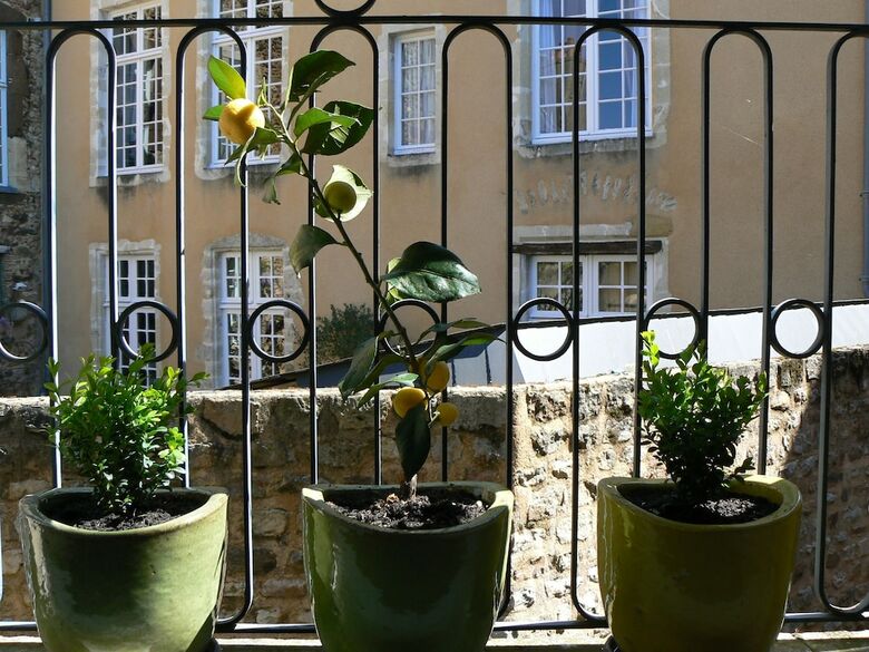 Apartamento Appartement Relais Saint Pavin