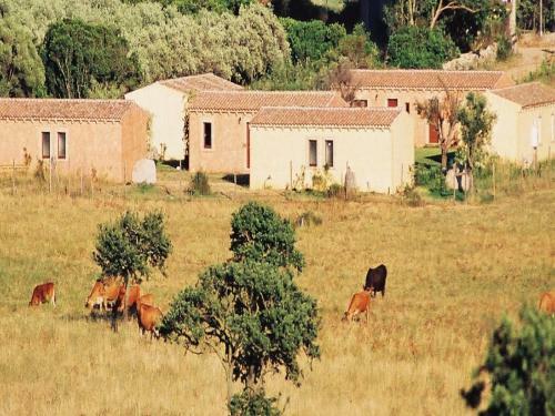 B&B Pubulos