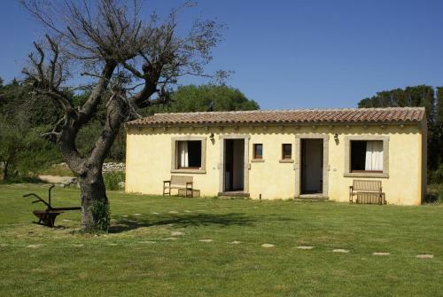 B&B Pubulos