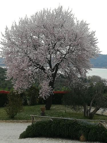 Agroturismo Agriturismo Sodino 1738