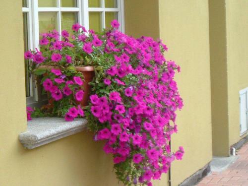 Hotel Del Fiume