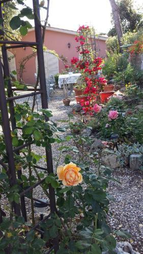 Bed & Breakfast Villa Cassuto Maison De Charme