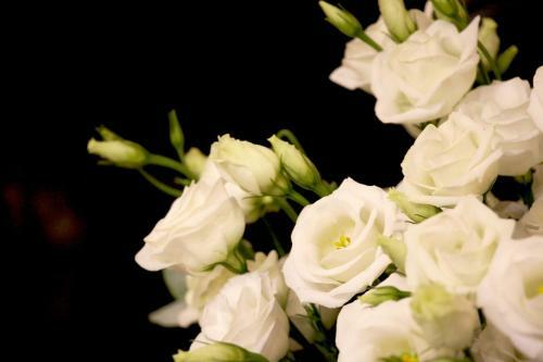 Hotel Aux Trois Roses