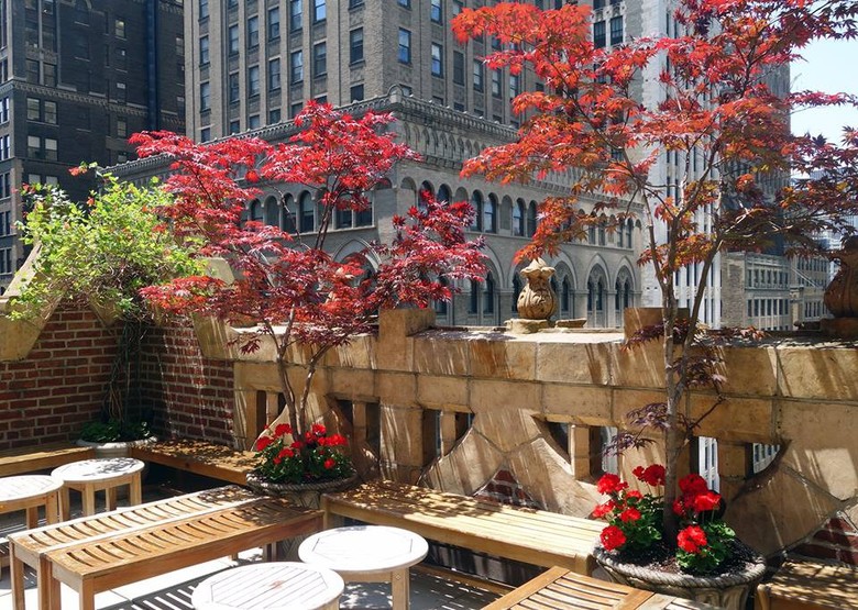 The Library Hotel
