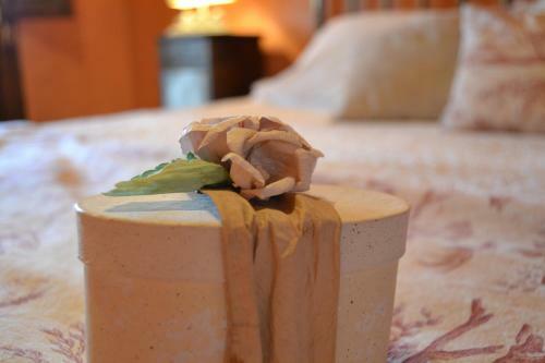 Bed & Breakfast Casa Di Babbo