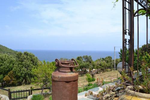 Bed & Breakfast Casa Di Babbo