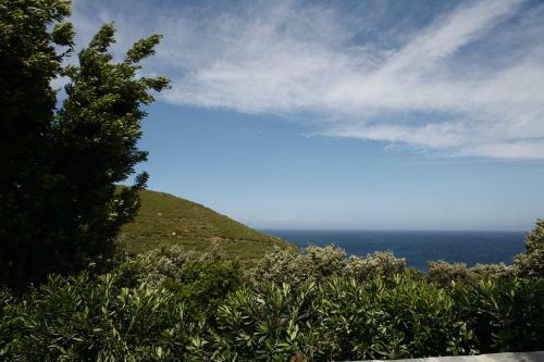 Bed & Breakfast Casa Di Babbo