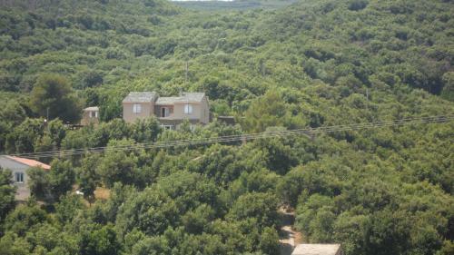 Bed & Breakfast Casa Di Babbo