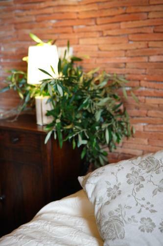 Bed & Breakfast Casa Di Babbo