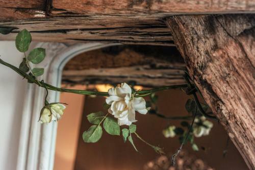 Apartamento Au Coeur Des Chateaux
