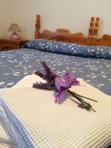 Apartamento Maison Du Camillo