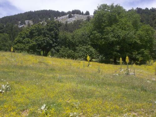 Bed & Breakfast Le Antiche Torri