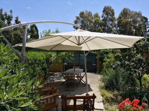 Bed & Breakfast Gassa D'amante