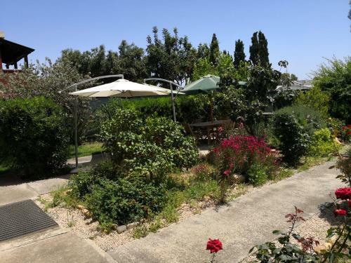 Bed & Breakfast Gassa D'amante