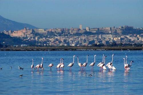 Bed & Breakfast Gassa D'amante