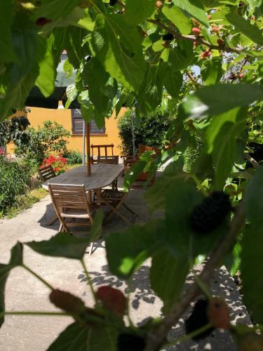 Bed & Breakfast Gassa D'amante