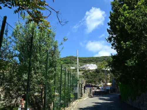Montano