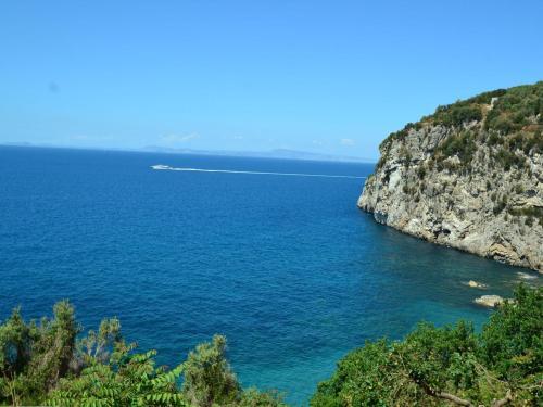 Montano