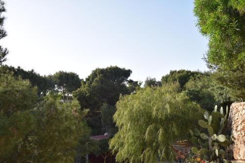 Camping La Roccia