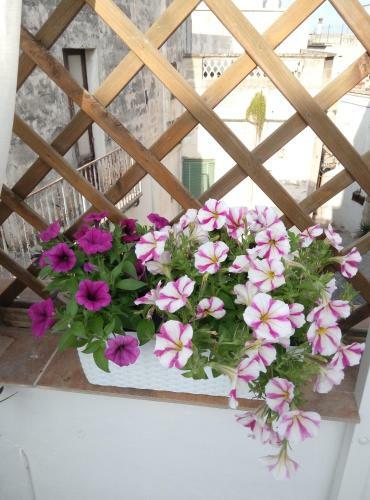 Hostal Casa Destradis B&B