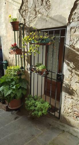 Apartamento Armaiolo Relax