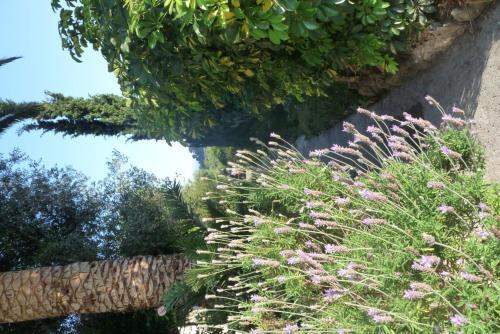 Bed & Breakfast Castel Enchant�