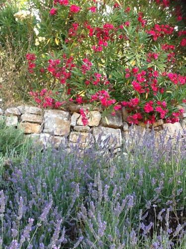 Bed & Breakfast L'oustaou