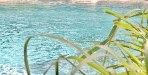 Bed & Breakfast Maison L'anyou