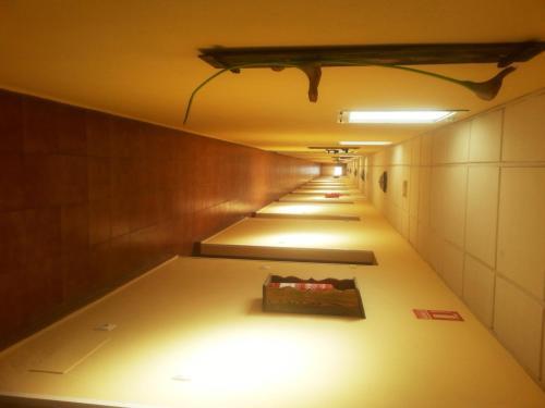 Hostal Pensi�n Calatrava