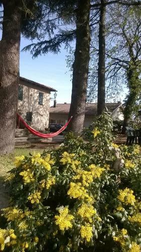 Bed & Breakfast Ca' Morano