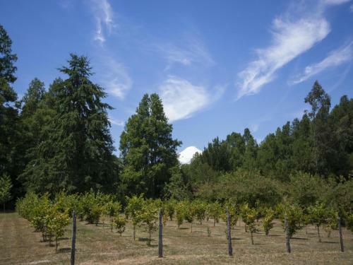 Agroturismo La Codorniz B&B