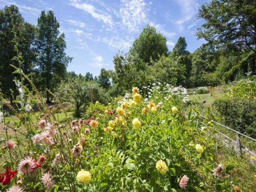 Agroturismo La Codorniz B&B