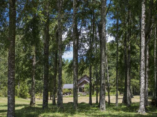Agroturismo La Codorniz B&B