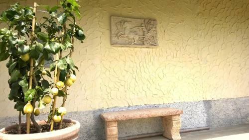 Villa In Lucca