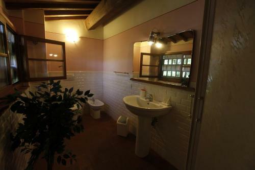 Casa Vacanza Podere Chiantini