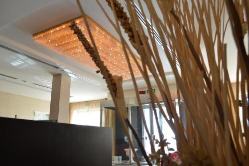 Hotel Baia D'argento