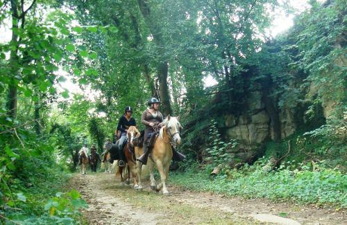 Bed & Breakfast Le Val D'omignon