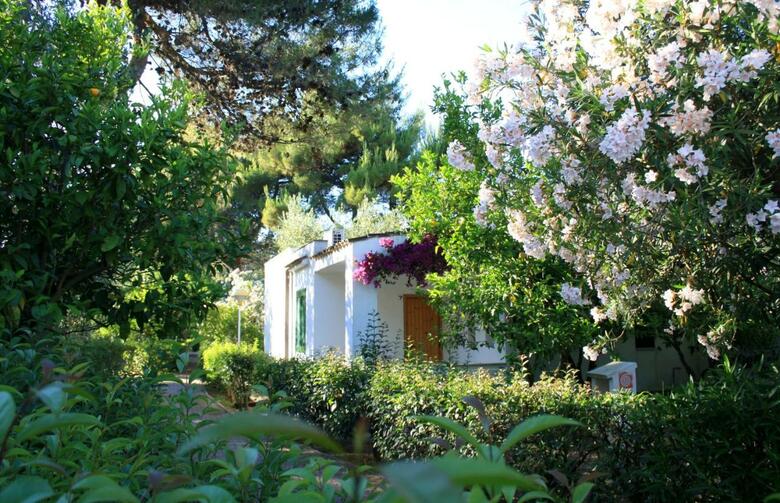 Aparthotel Residence Delfino