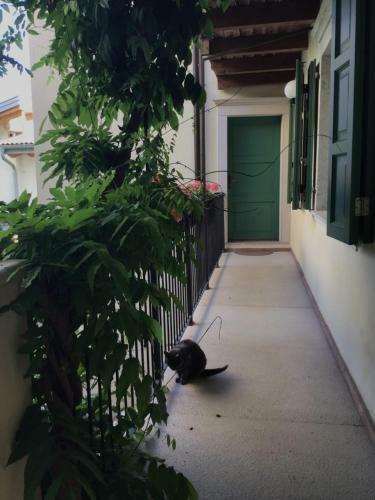Bed & Breakfast Villa Monica