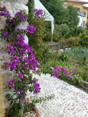 Bed & Breakfast Villa Monica